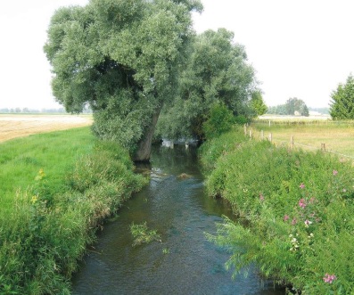 Herstellung eines Hochwasserrückhaltebeckens in Sontheim
